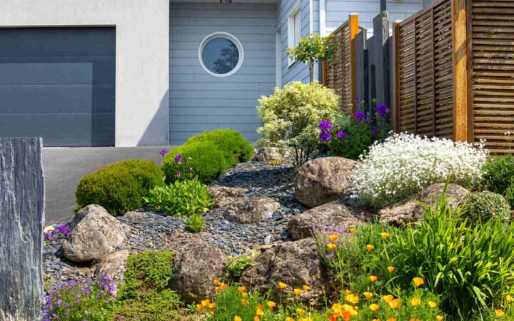 Best Drought Resistant Garden Plants for Indian Homes