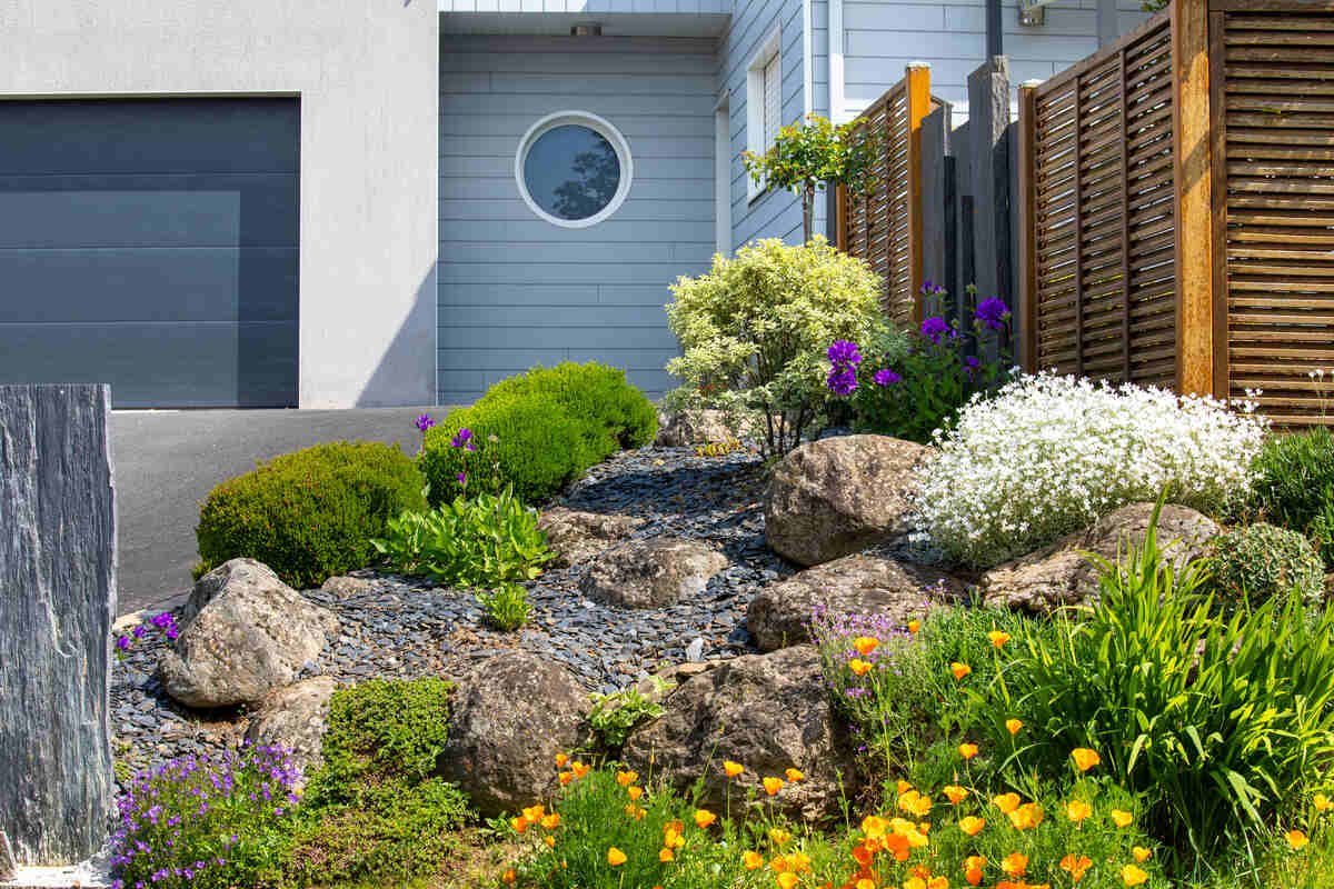 Best Drought Resistant Garden Plants for Indian Homes
