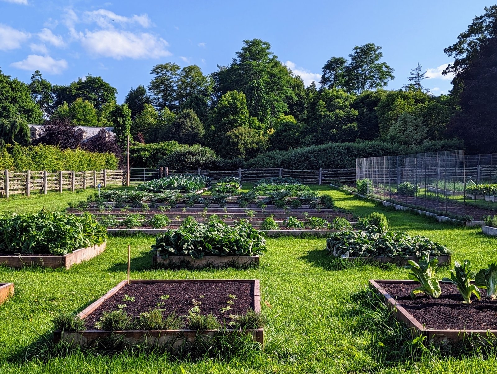 Small Backyard Garden Layout Ideas That Actually Work